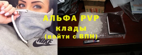 spice Арсеньев