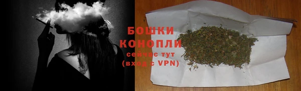 spice Арсеньев