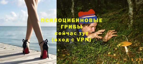 spice Арсеньев