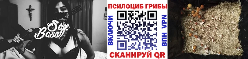 Псилоцибиновые грибы ЛСД Камбарка